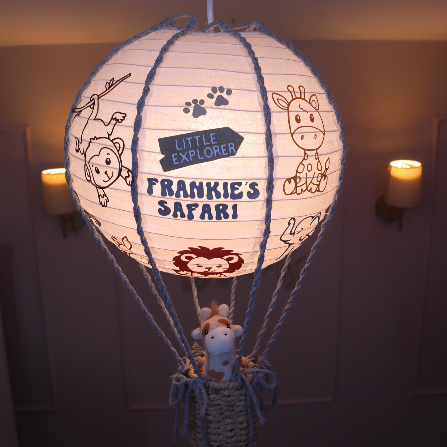 Premium Safari Balloon