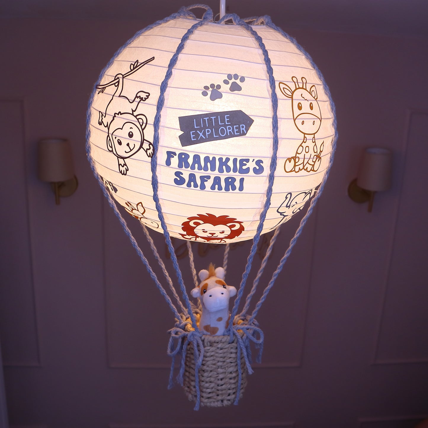 Premium Safari Balloon